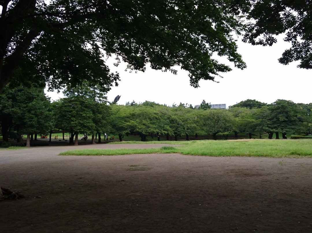 Hiratsuka City Park-平冢市必去景点
