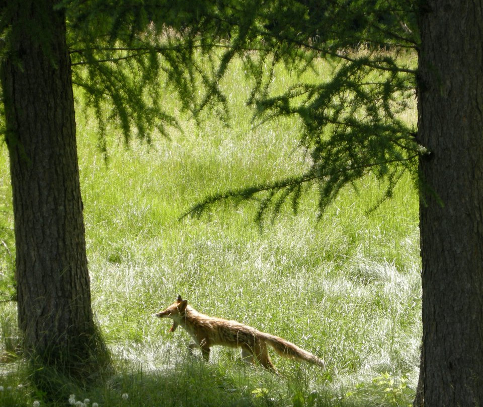 Segway Guided Tours in Hakodate-Onuma-七饭町必去景点