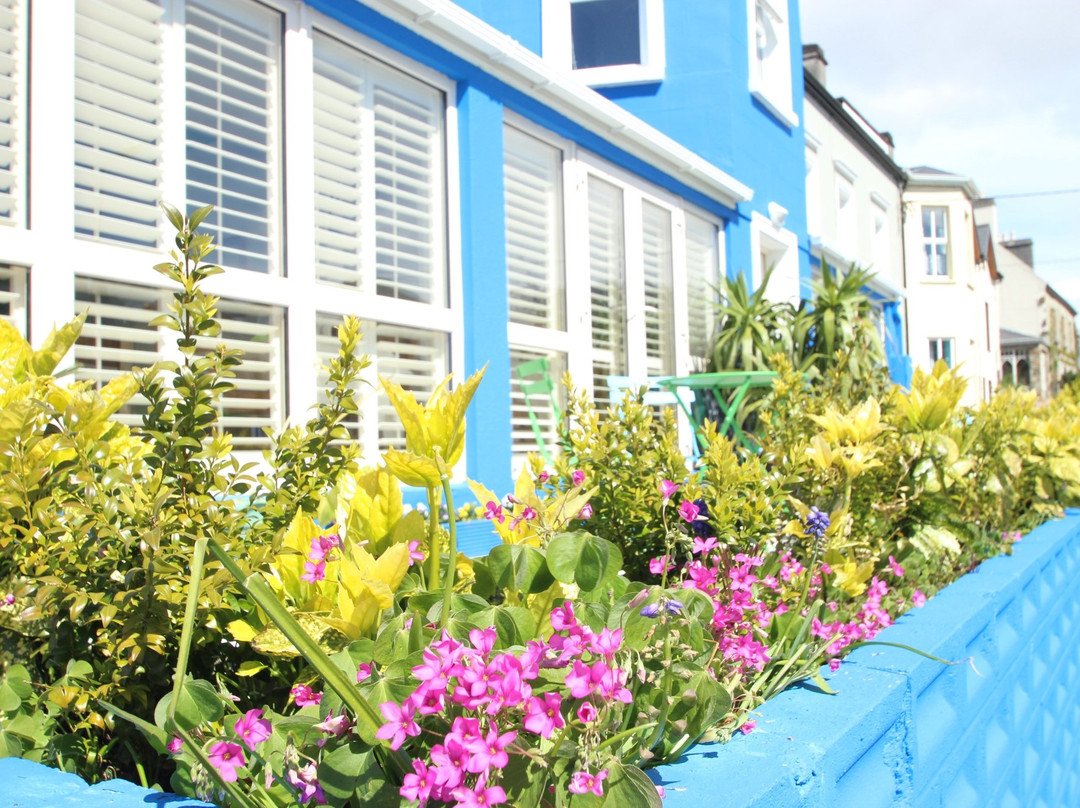 Blue Quay Rooms