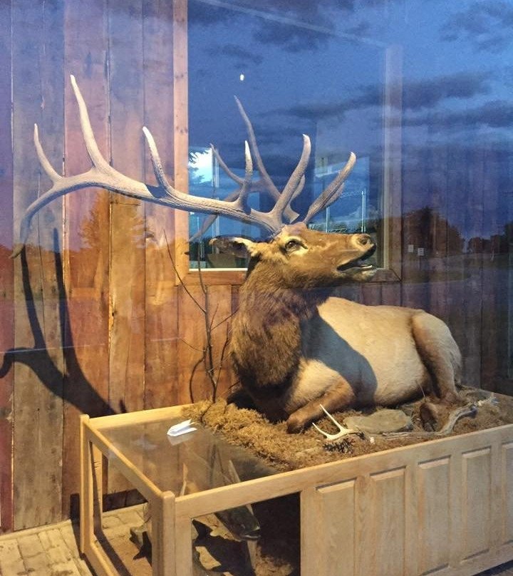 Woody'zzz Motel主图