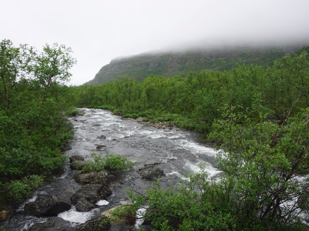 Malla Strict Nature Reserve-Enontekiö必去景点