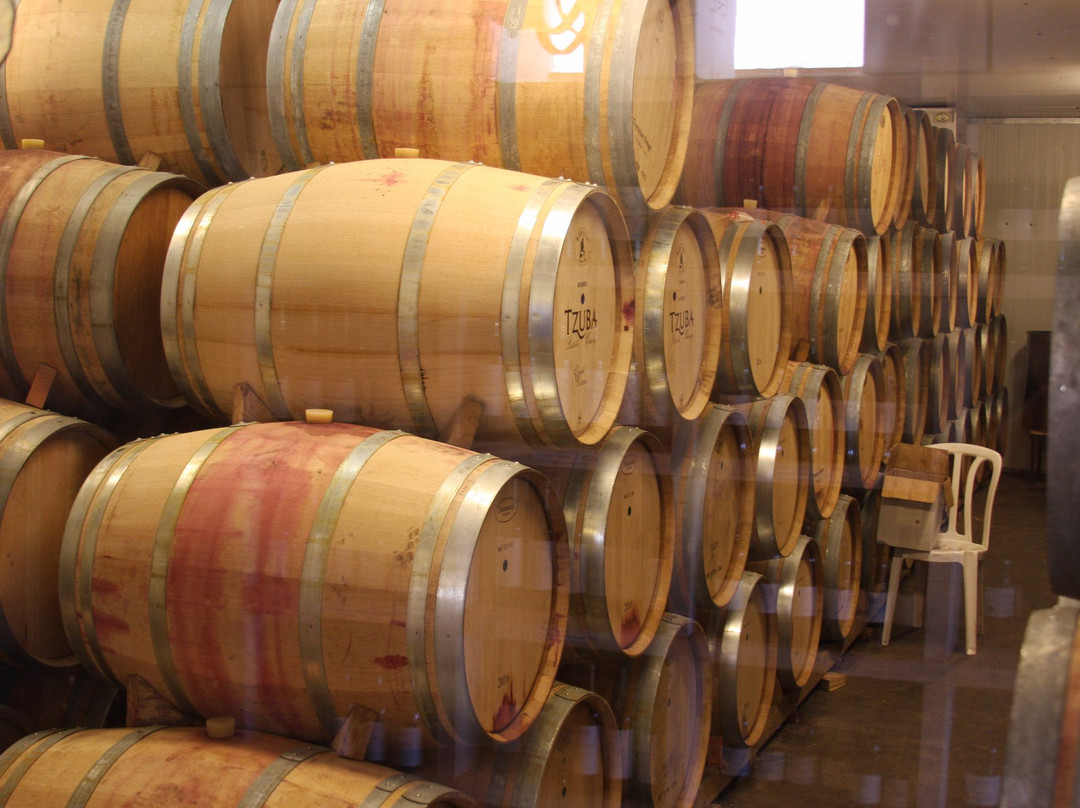 Tzuba Winery-耶路撒冷必去景点