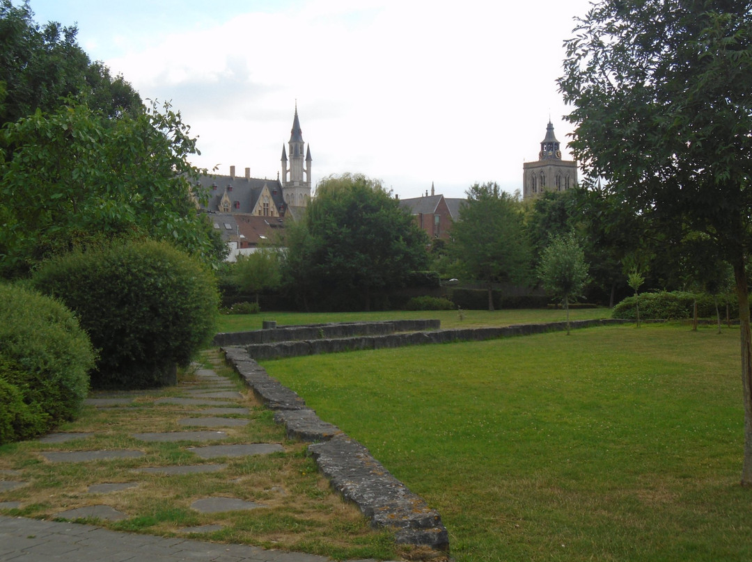 Burggraaf Frimoutpark景点图片