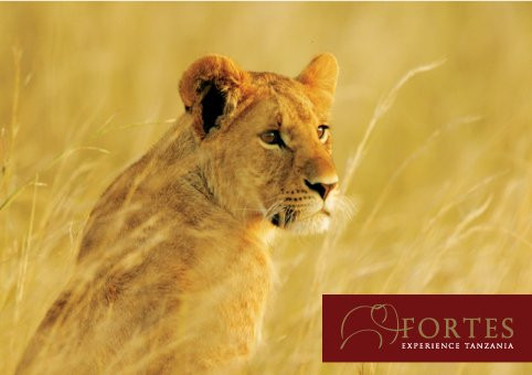 Arusha Fortes Limited-阿鲁沙必去景点