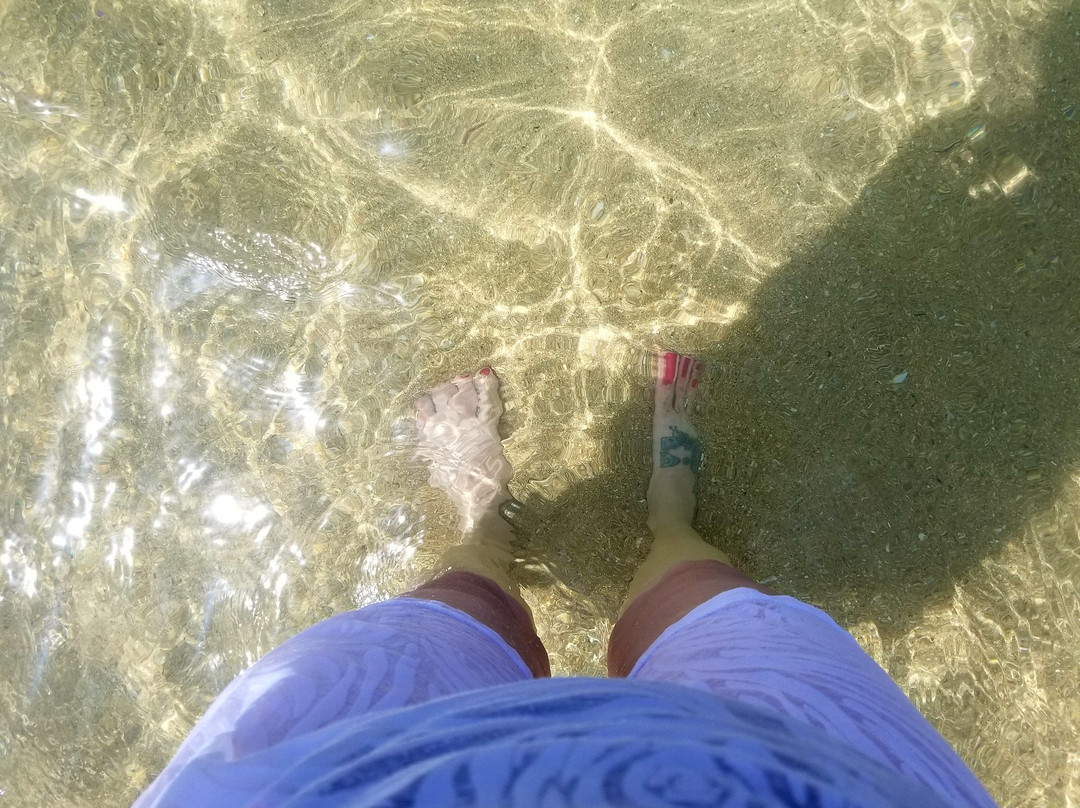 Terraplen La Posita de Piñones-卡罗来纳必去景点