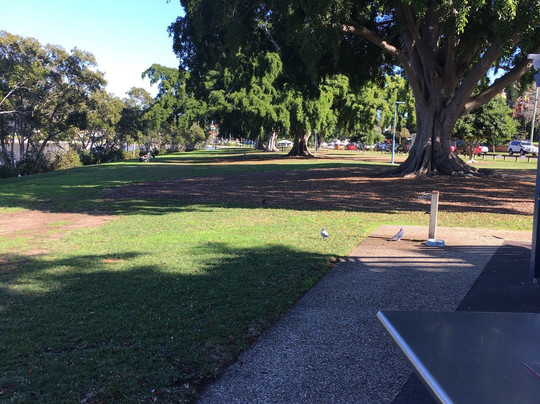 Orleigh Park-布里斯班必去景点