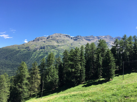 Heidi's blumenweg-圣莫里茨必去景点