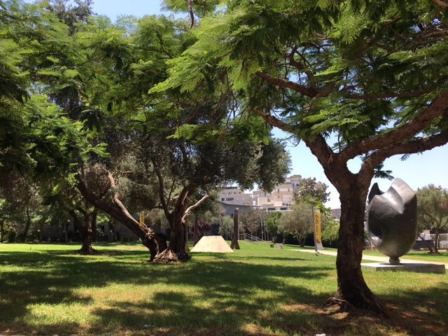 Herzliya Museum of Contemporary Art-荷兹利亚必去景点