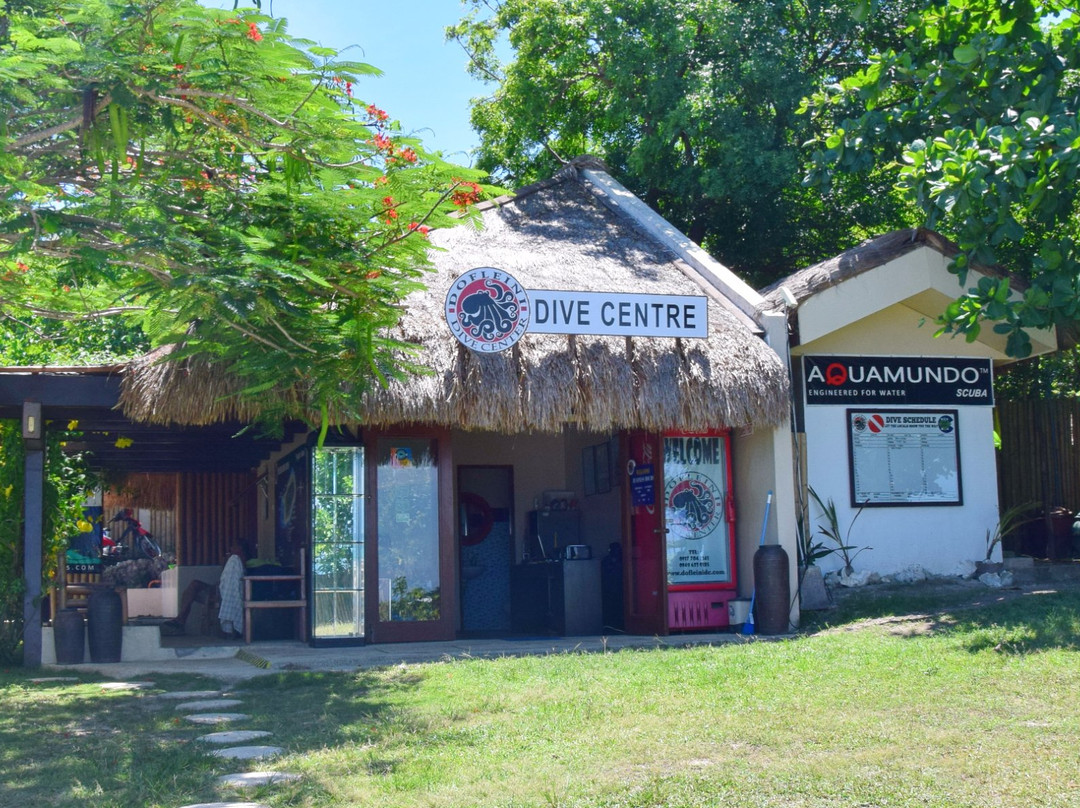 Dofleini Dive Center景点图片