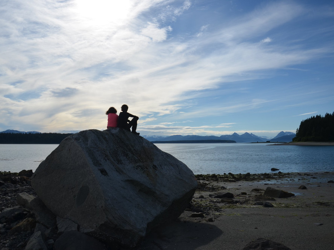 Glacier Bay Photo Tours-古斯塔夫斯必去景点