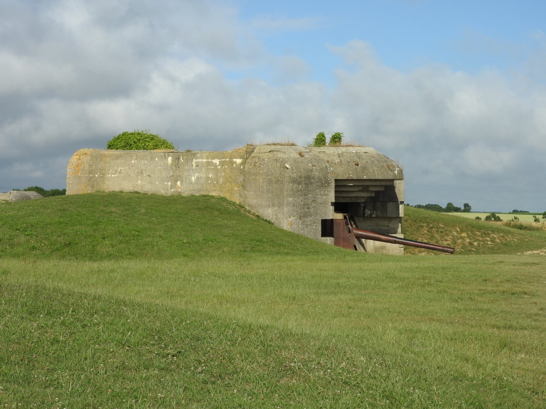 Normandy Guided Tours景点图片