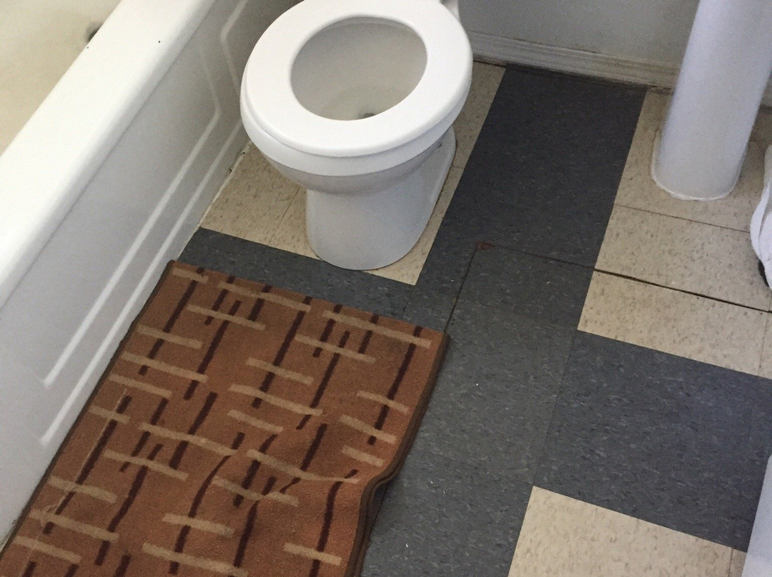 Chetwynd Court Motel主图