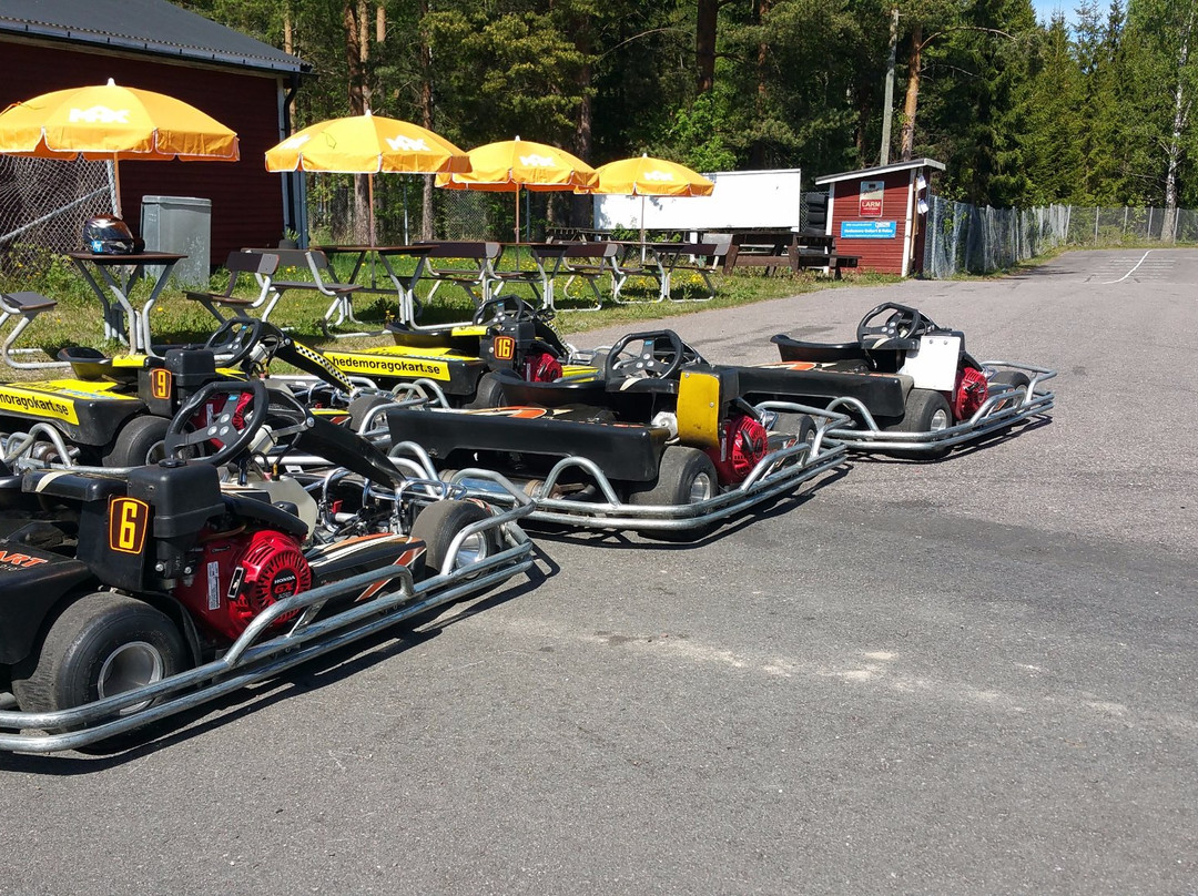 Gokart Arena Dalarna景点图片