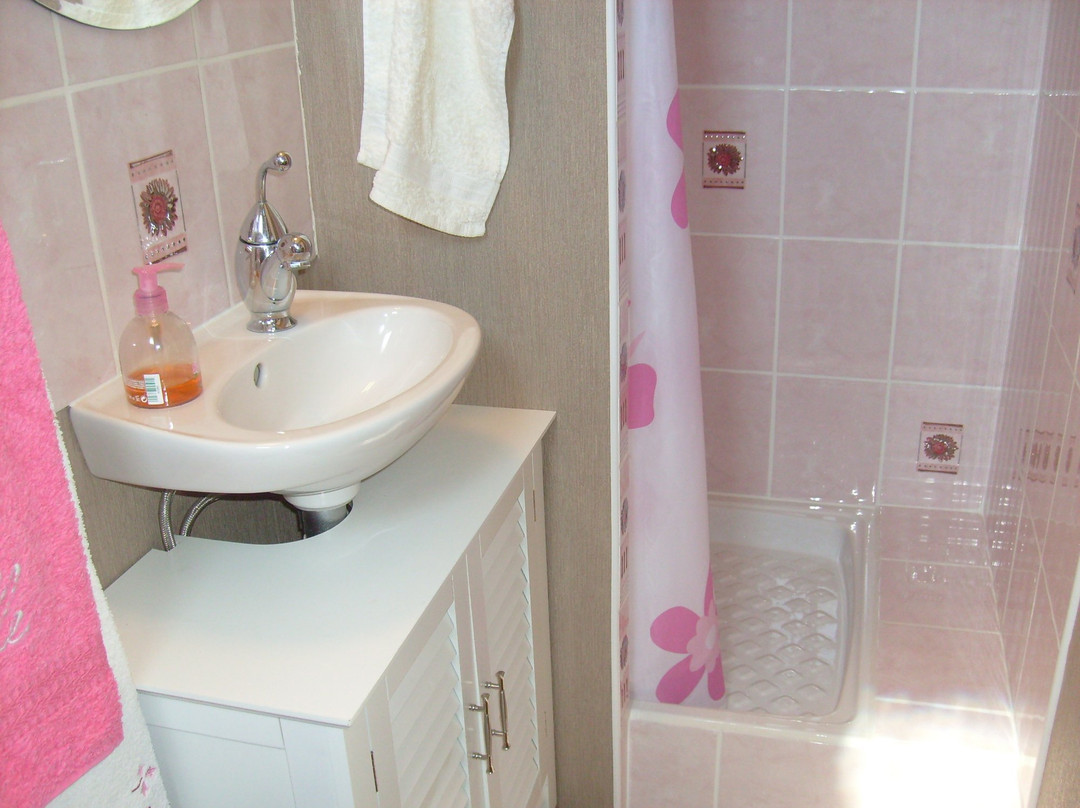 Les Pigeons Blanc主图