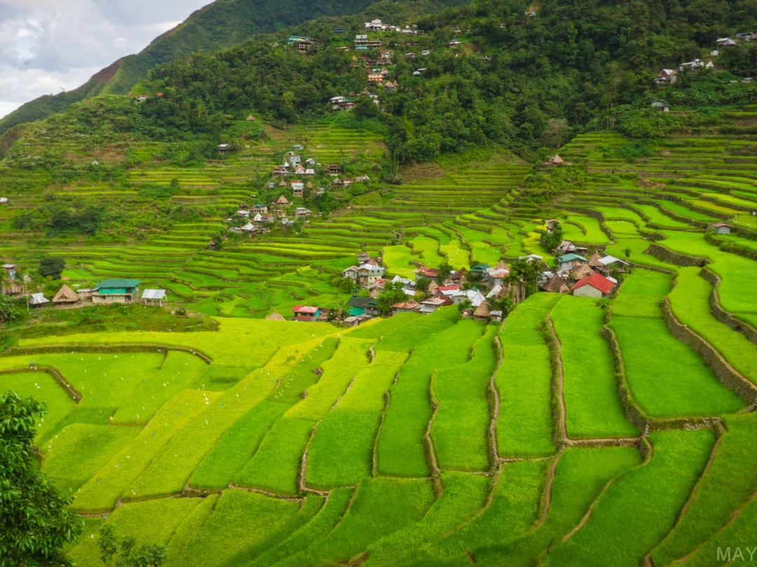 Batad Hillside Inn and Restaurant主图