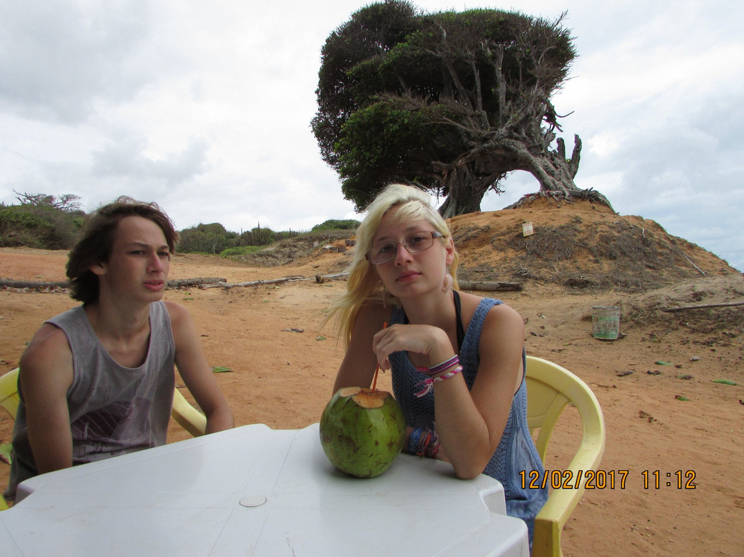 Cabo de Saõ Roque Lighthouse-Maxaranguape必去景点