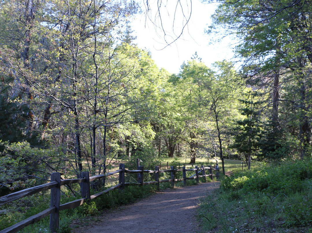 Heaps Peak Arboretum-Skyforest必去景点