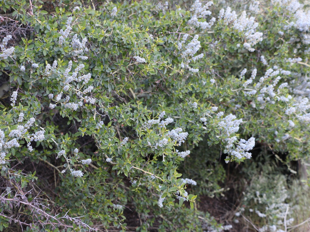 Heaps Peak Arboretum-Skyforest必去景点
