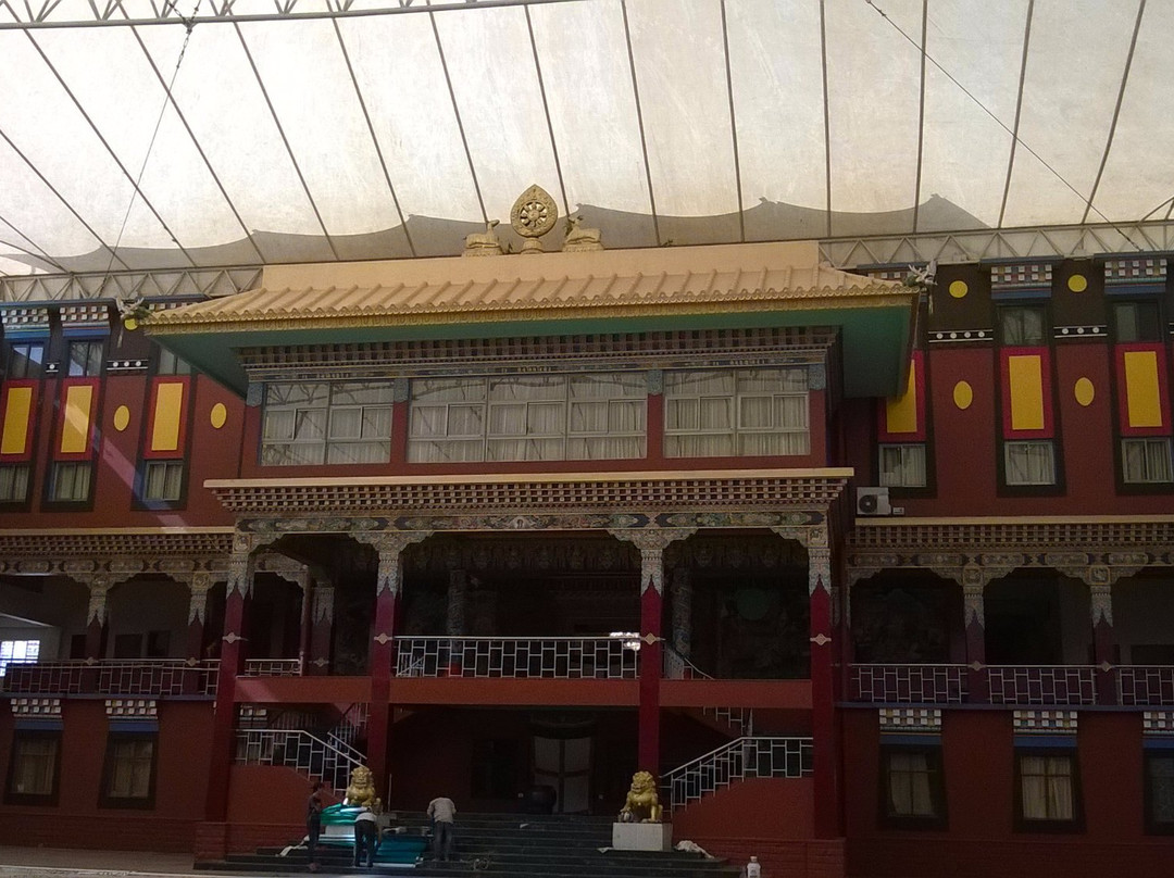 Deer Park Institute景点图片