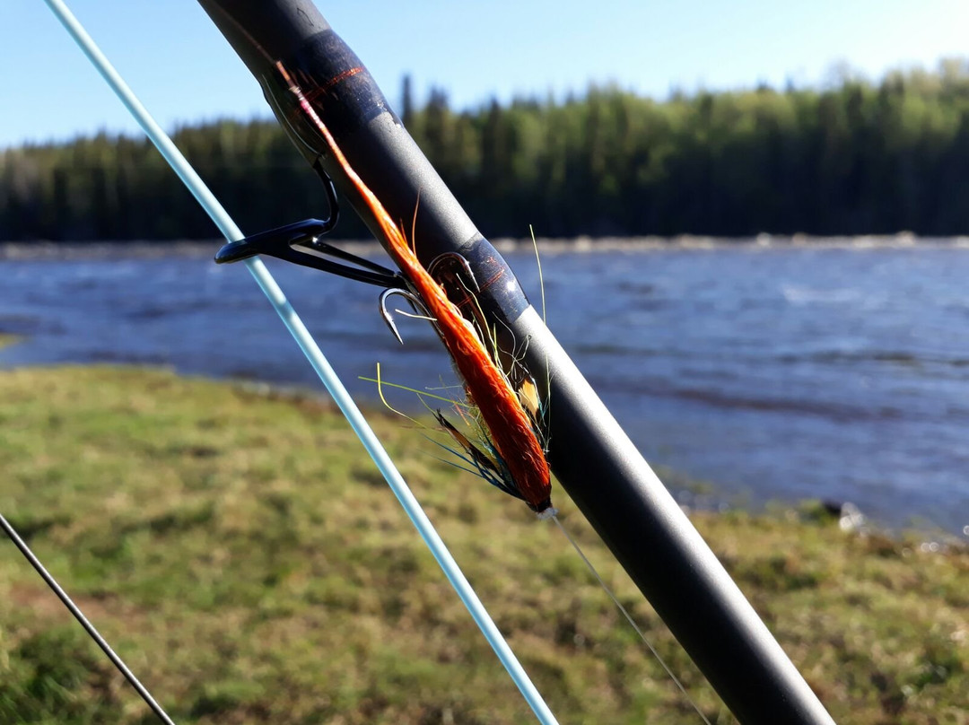 Salmon Fishing Naamisuvanto -  Petri Uusitalo景点图片