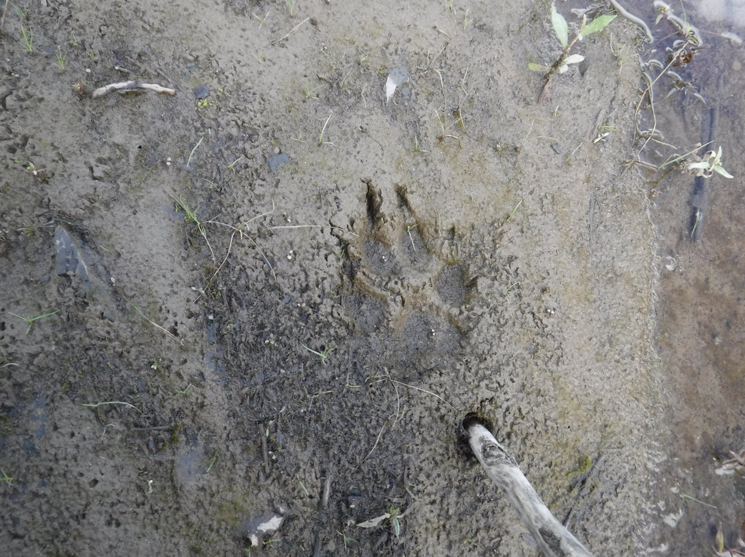 Alaska Dream Adventures-费尔班克斯必去景点