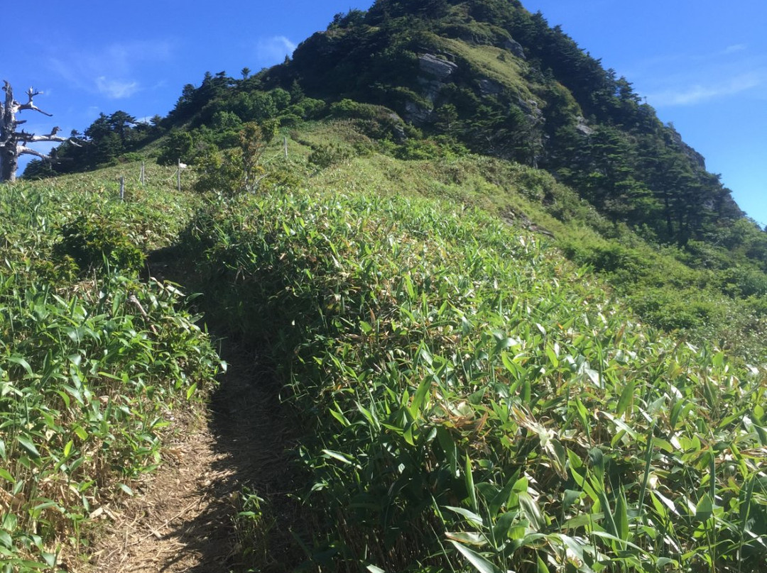 Kamegamori Forest-西条市必去景点