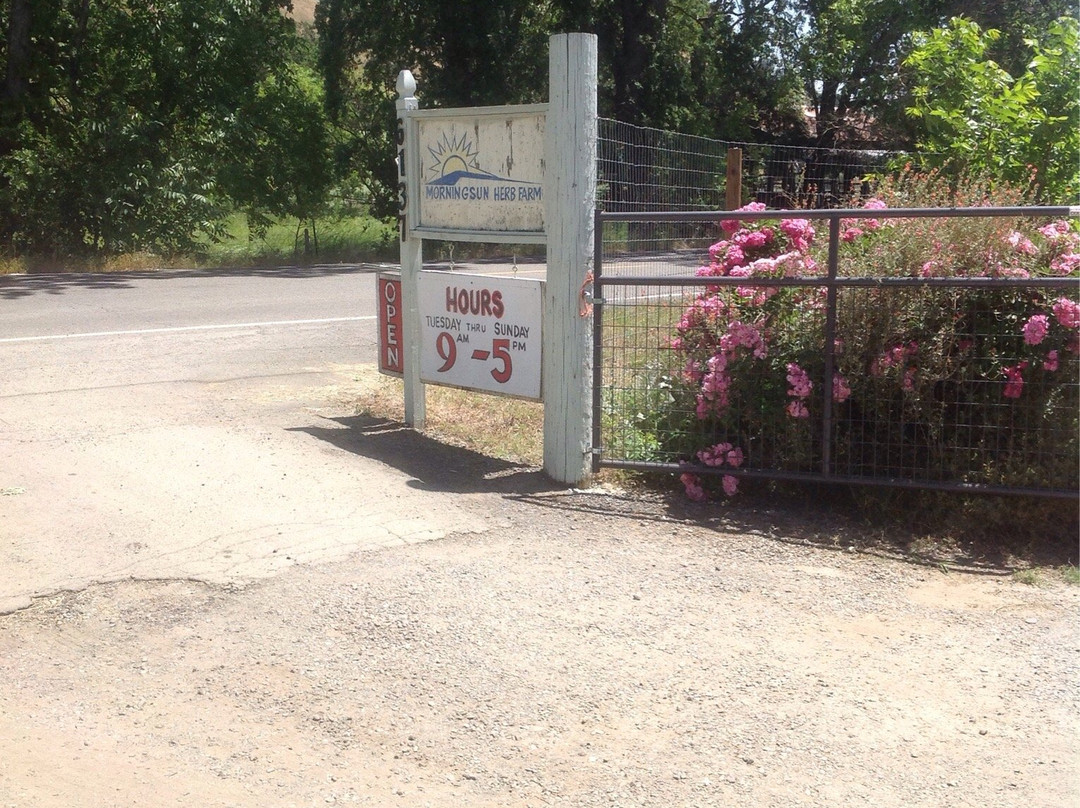 Morningsun Herb Farm-瓦卡维尔必去景点