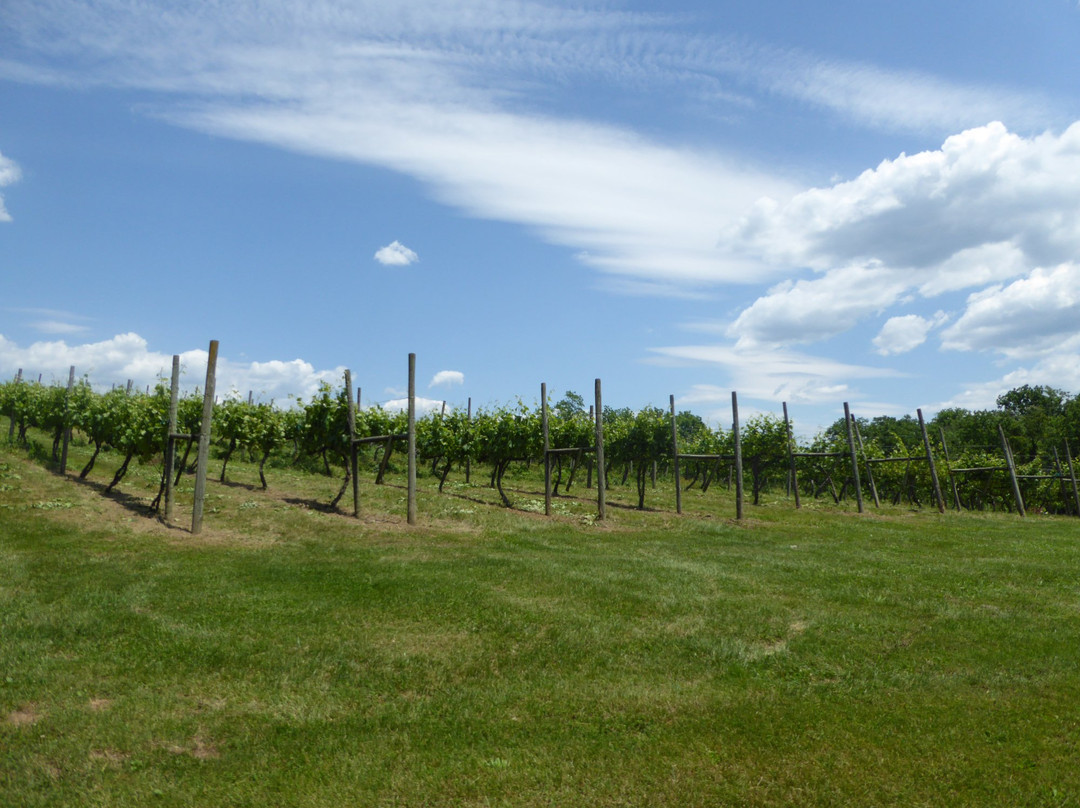 North Mountain Vineyard and Winery景点图片