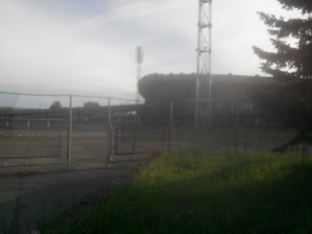 Central Stadium景点图片