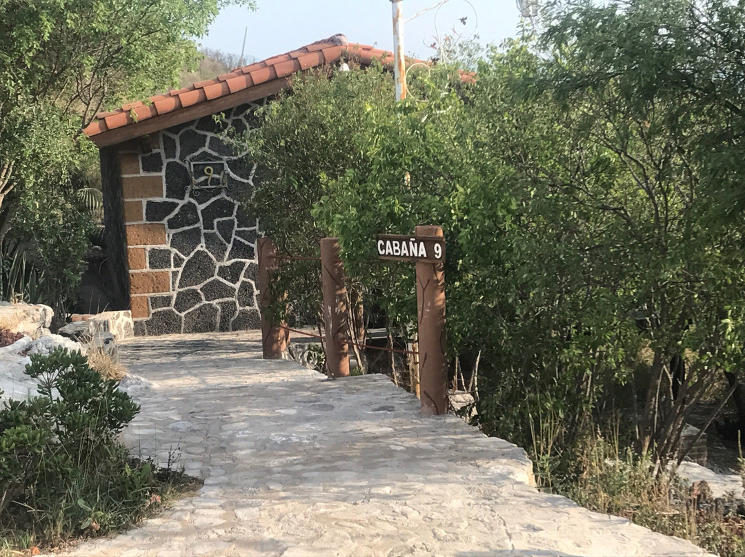 Maguey blanco-伊斯米基尔潘市必去景点