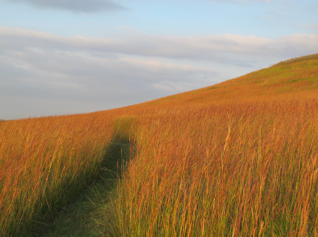 Mount Mitchell Heritage Prairie Park景点图片