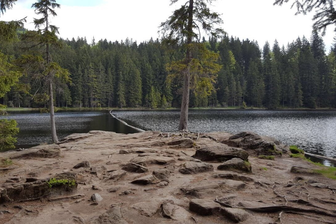 Gutsgasthof Frath主图