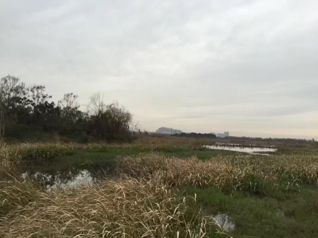 齐山-池州市必去景点