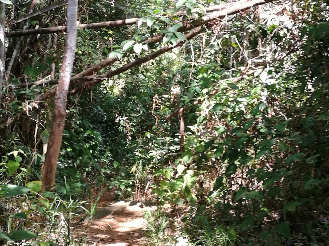 Jangkar Waterfalls-Lundu Town必去景点