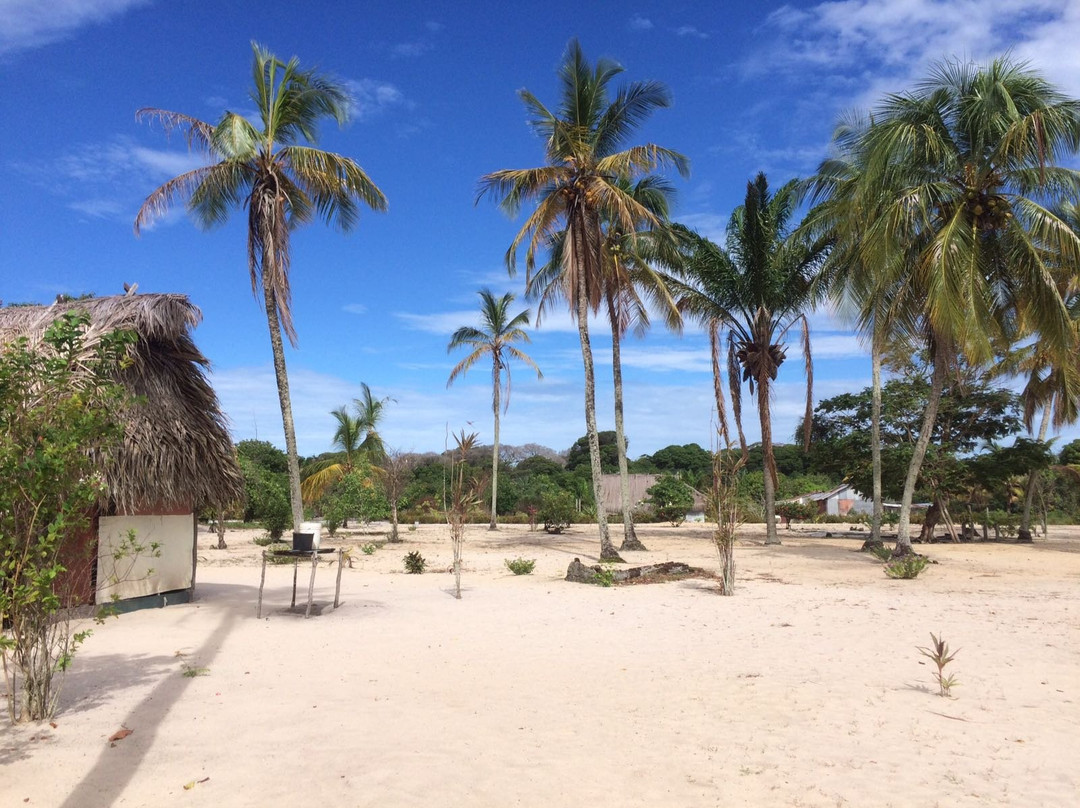 Marowijne District旅游攻略图片