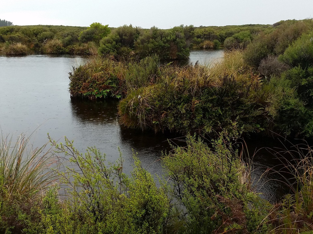 Waituna Lagoon景点图片