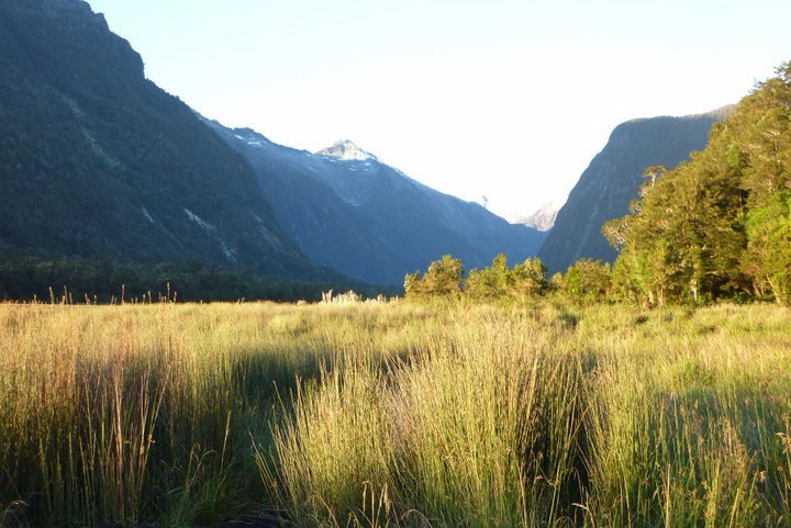 Hornopiren National Park景点图片