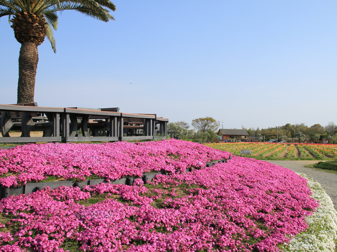 Izumi Recycle Environment Park景点图片