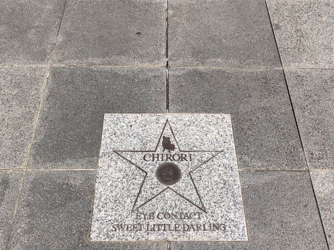 Chirori Memorial-Tsukiji必去景点