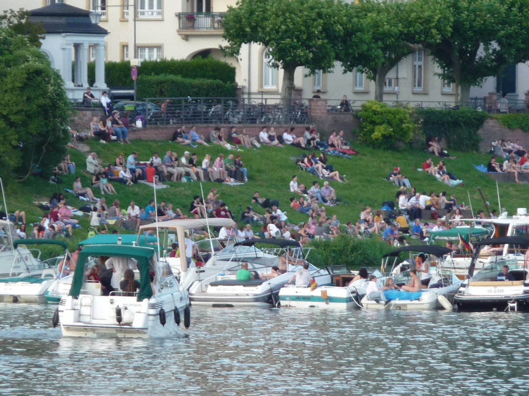 Neckarwiese Heidelberg-海德尔堡必去景点