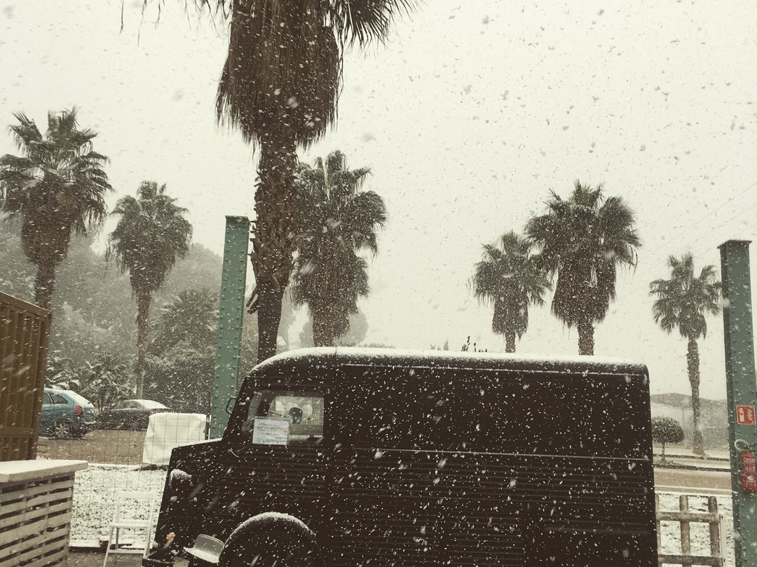 Rin Ran-穆尔西亚必去景点