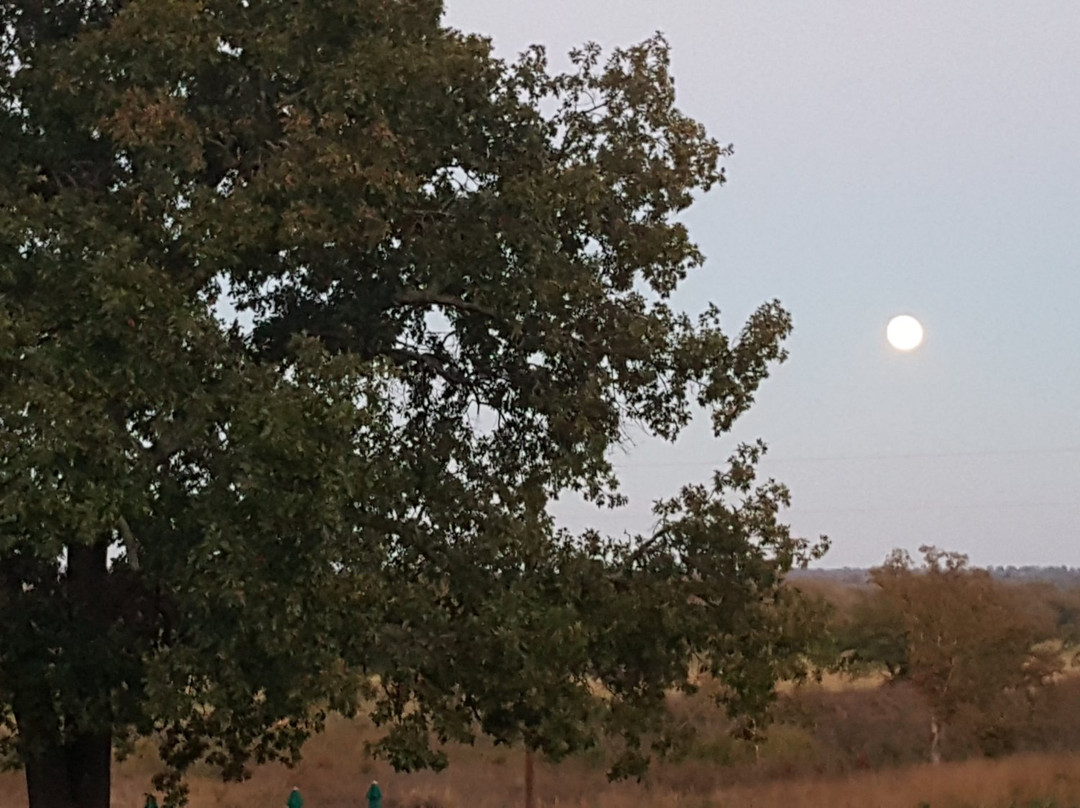 Blue River Valley Winery-Caddo必去景点