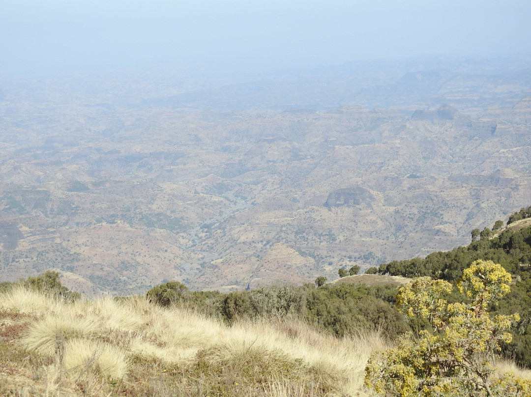 Simien Mountain Guides景点图片