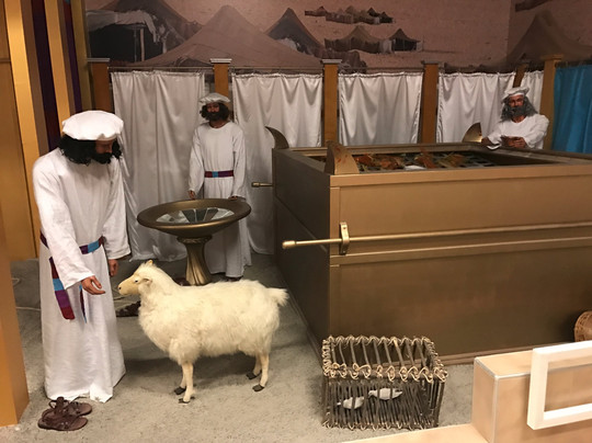 Creation and Earth History Museum-Santee必去景点