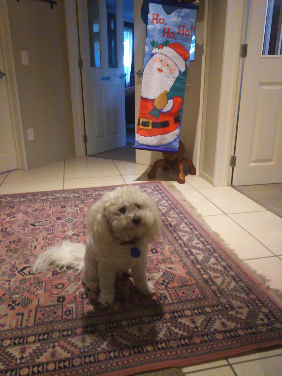 Airport Stableford B & B-官方