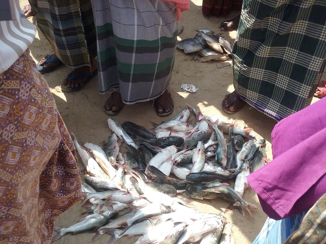 Kovalam Fish Market景点图片