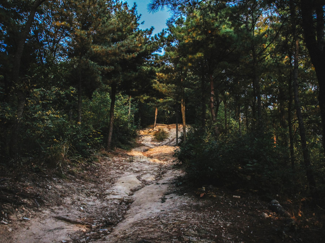 Bojeoksa-乌山市必去景点