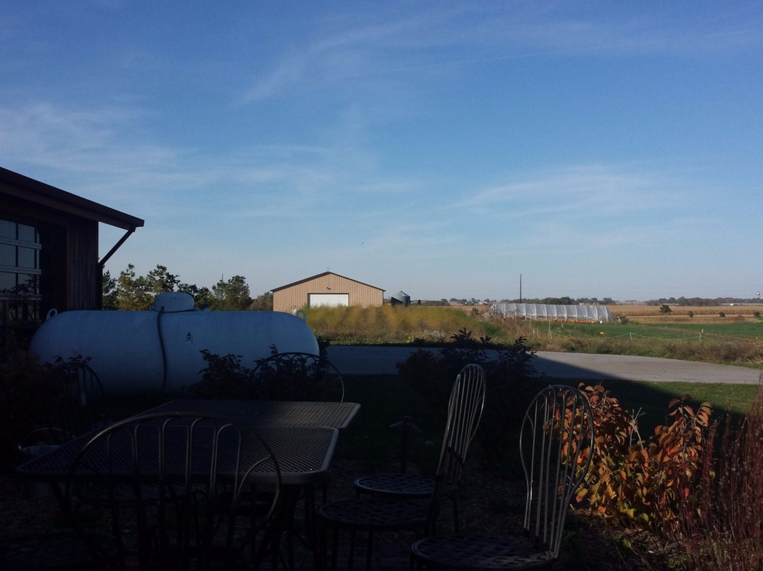 Alluvial Brewing Company-艾姆斯必去景点