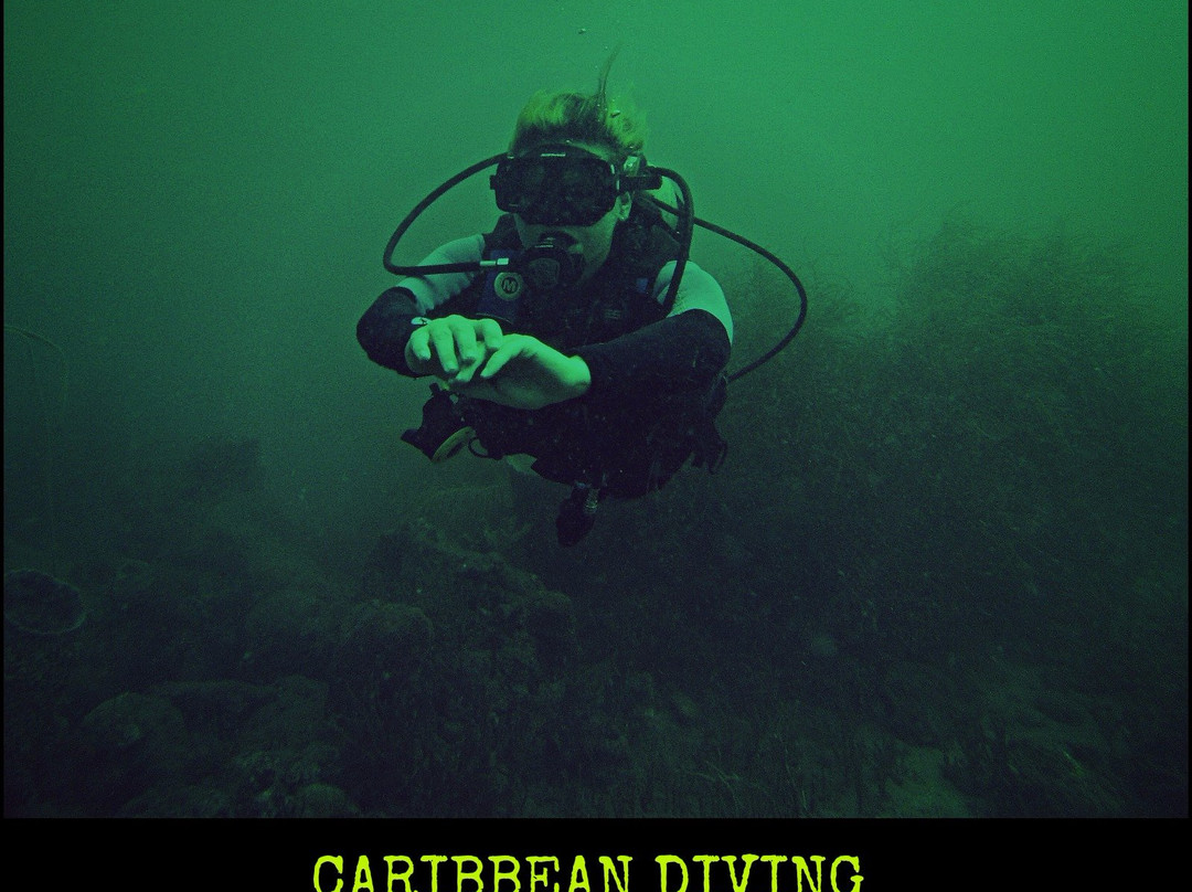 Caribbean Diving-位于塔甘加必去景点