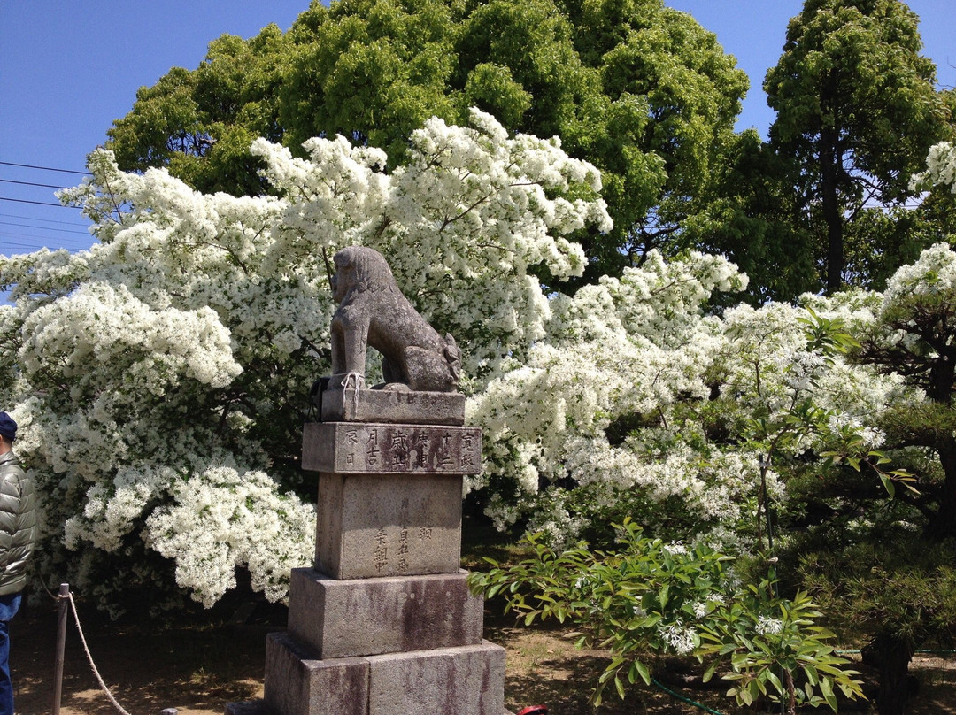 Okanominato Shrine景点图片